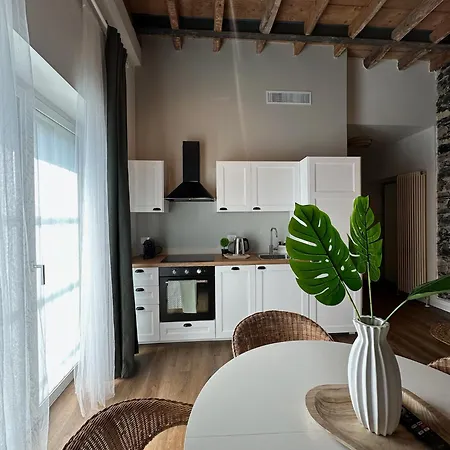Urban Chic White