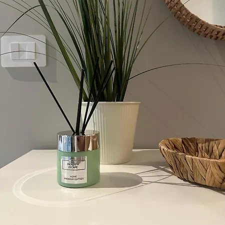 Urban Chic White